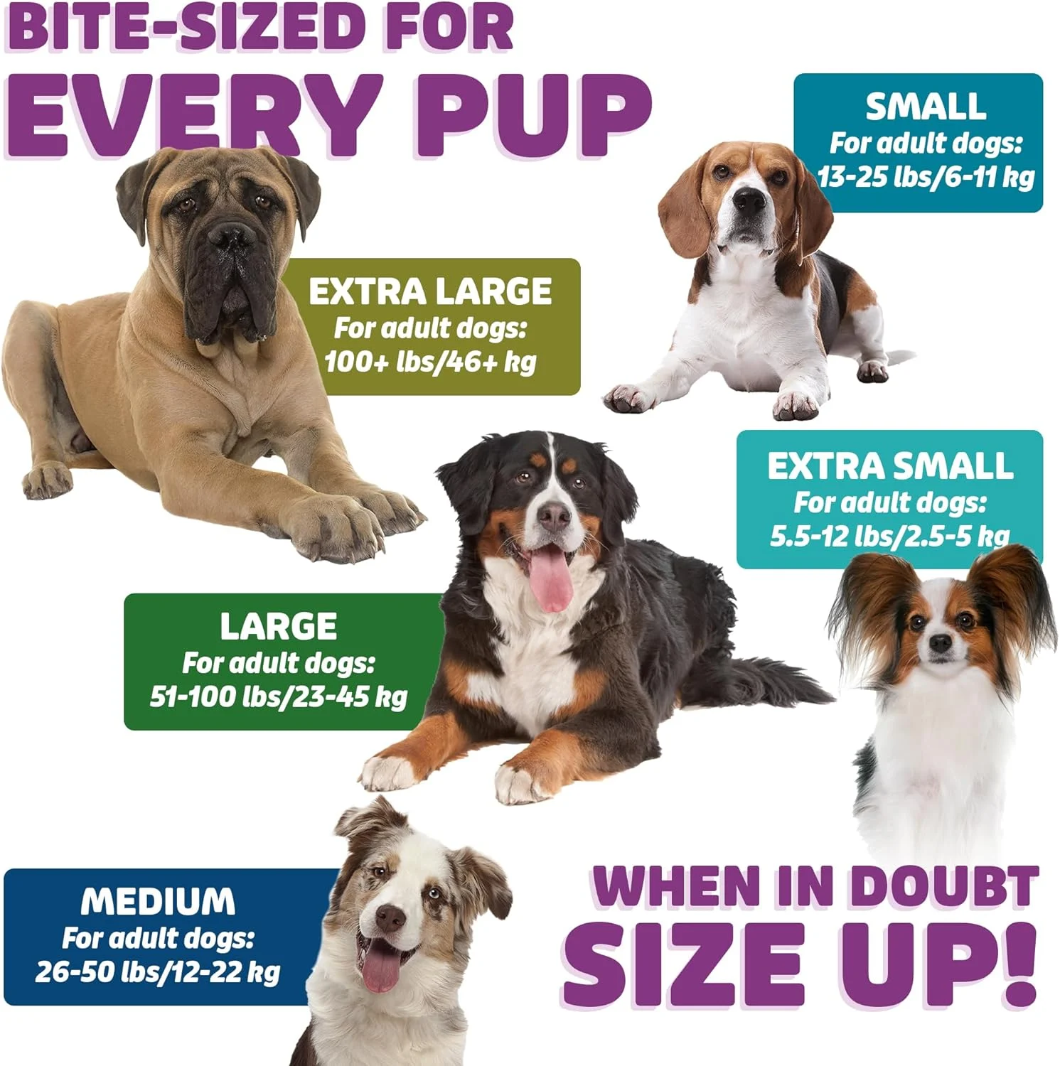 Sizes For Every Dog